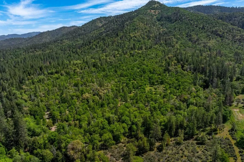 20541 Williams Highway , Williams, OR 97544, Williams, Oregon, United States. - Photo 42