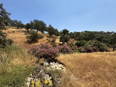 Thumbnail 43