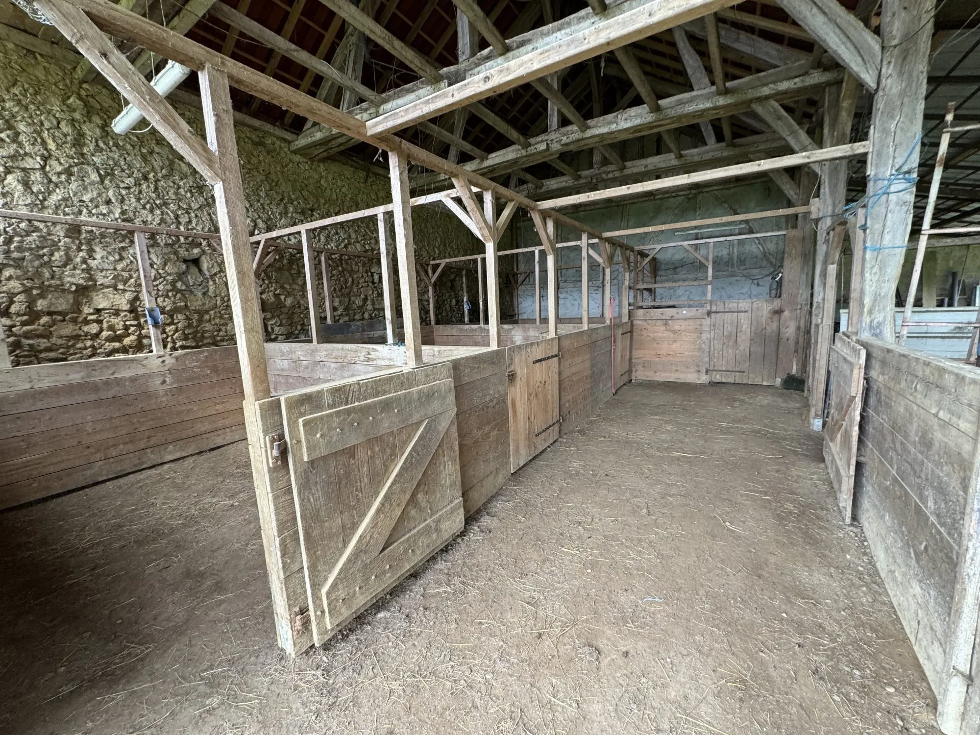 Gallery photo 12