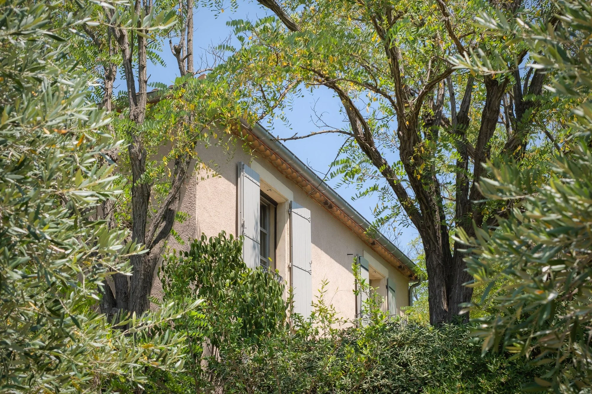 Exterior photo 8