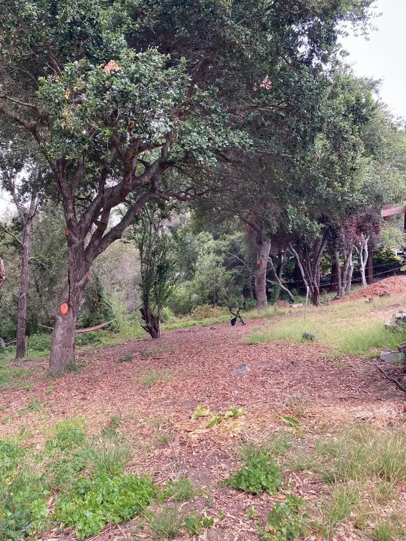 514 Meder Street, Santa Cruz, California, United States. - Photo 5