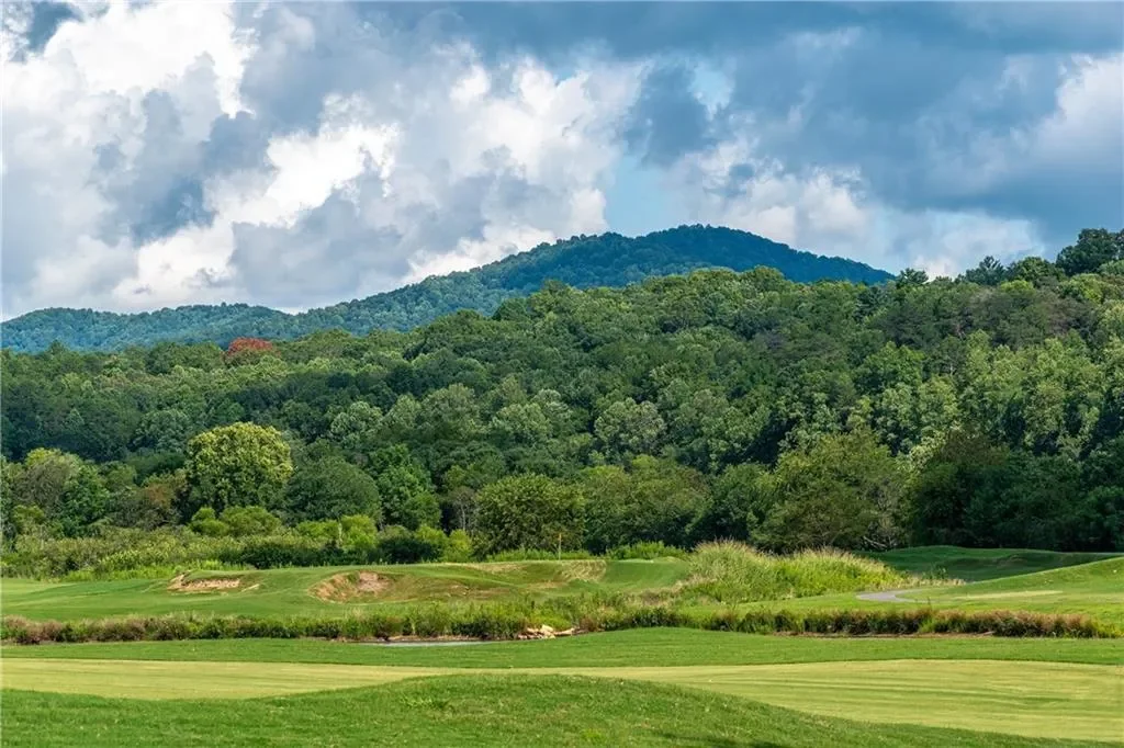 868 Old Owen Drive, Blairsville, Georgia, United States. - Photo 59