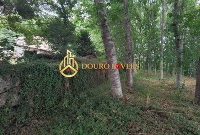 Thumbnail 27