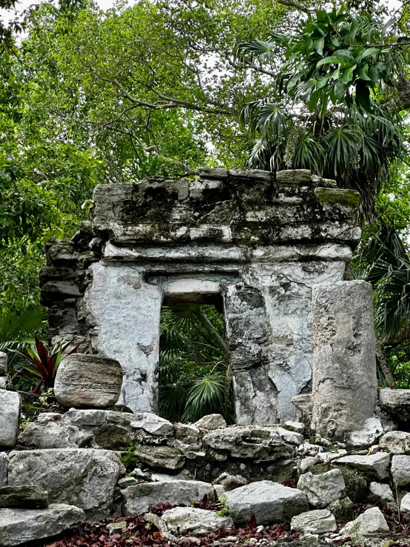 Residential Land Playacar Phase 1, Playa del Carmen, Quintana Roo, Mexico. - Photo 6