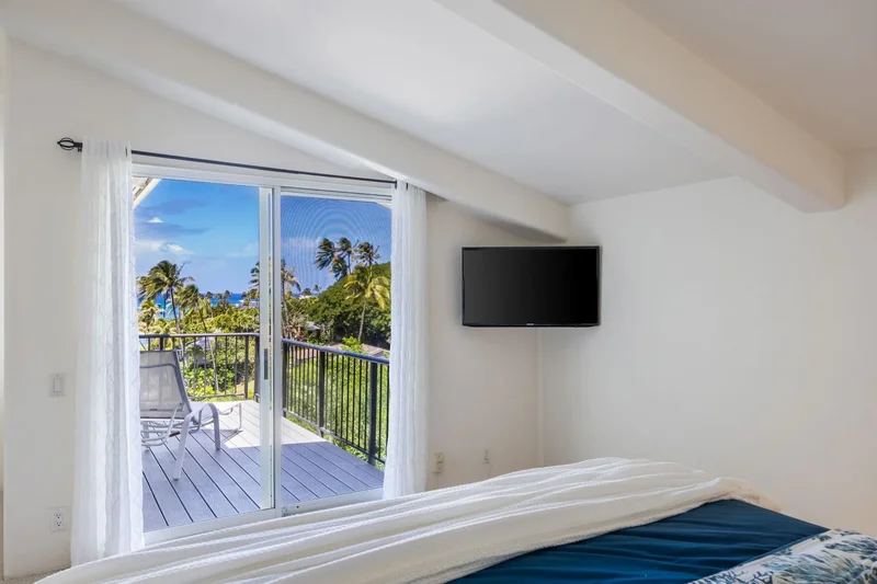 5045 LOWER HONOAPIILANI Rd, Lahaina, HI 96761, Lahaina, Hawaii, United States. - Photo 27