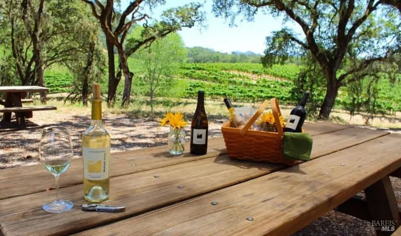 13422 Chalk Hill Road, Healdsburg, California, United States. - Photo 14