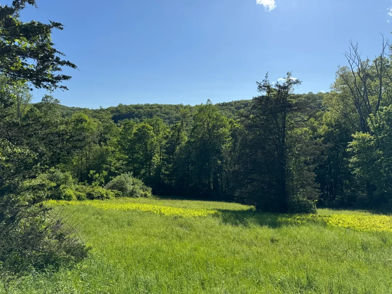 Rte 39 South, State Route