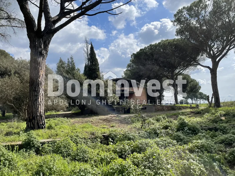 viale della Repubblica, Rome, Lazio, Italy. - Photo 14