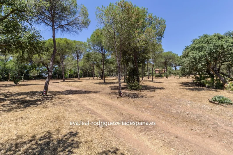 Andalusia, Lepe, Andalusia, Spain. - Photo 38