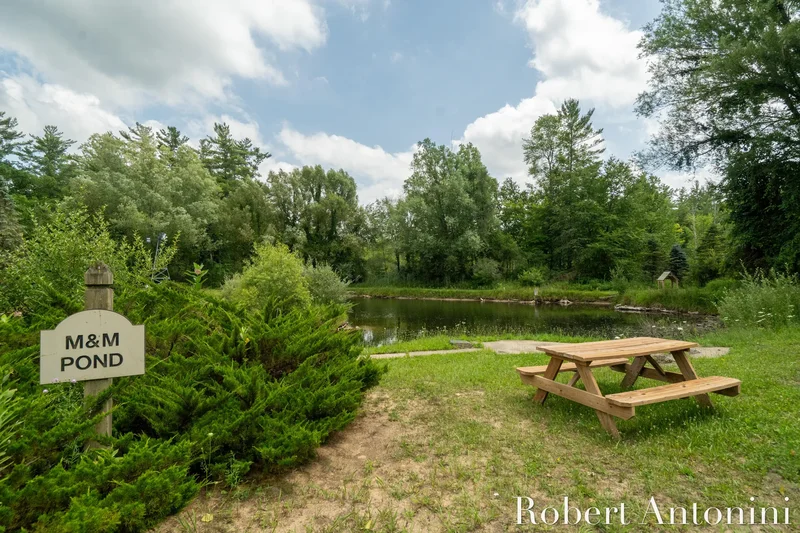 4751 S Johnson Road, Gowen, MI 49326, Greenville, Michigan, United States. - Photo 59