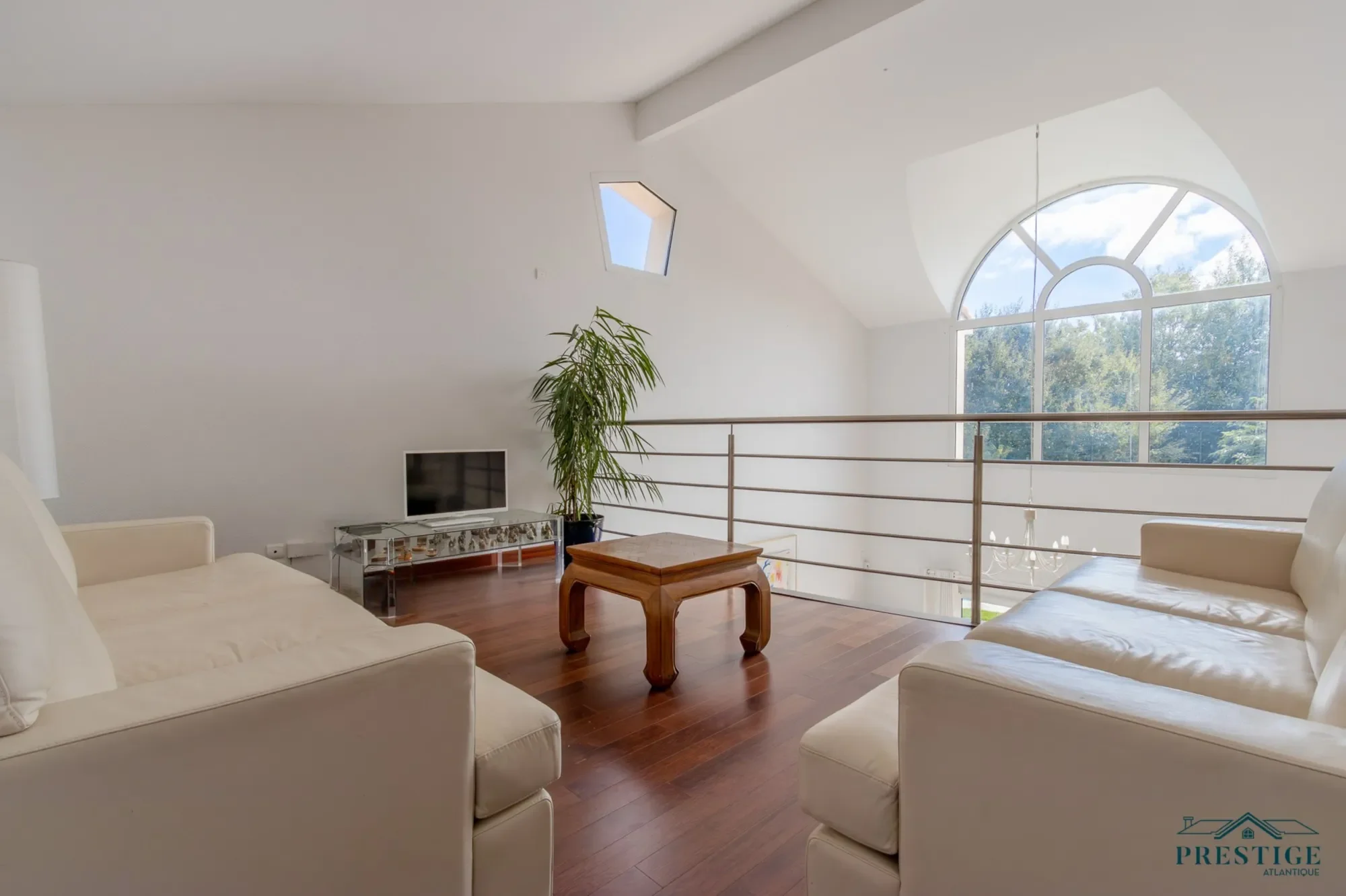 Gallery photo 7