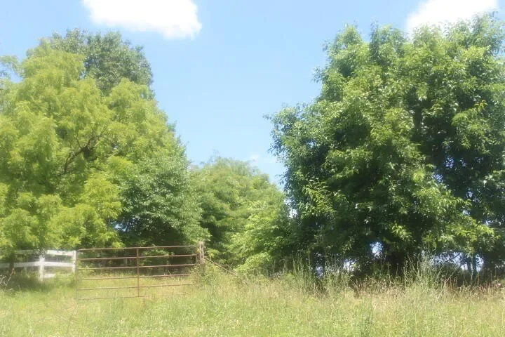 3176 S 170th Road, Polk, MO 65727, Bolivar, Missouri, United States. - Photo 16