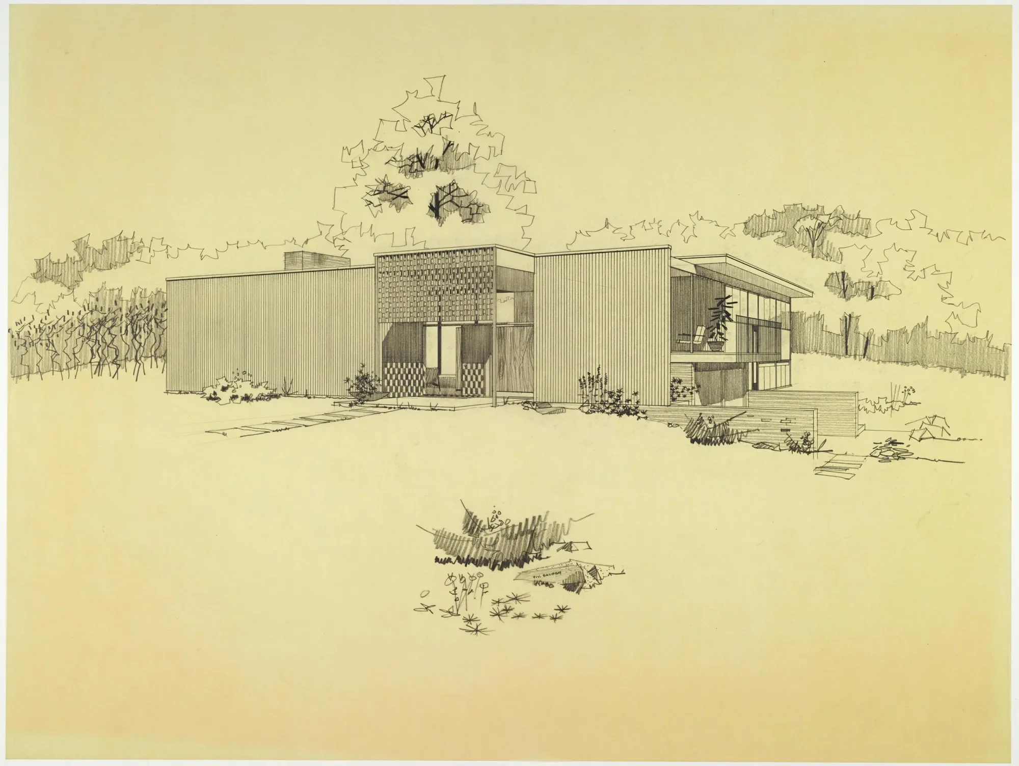 Gallery photo 10