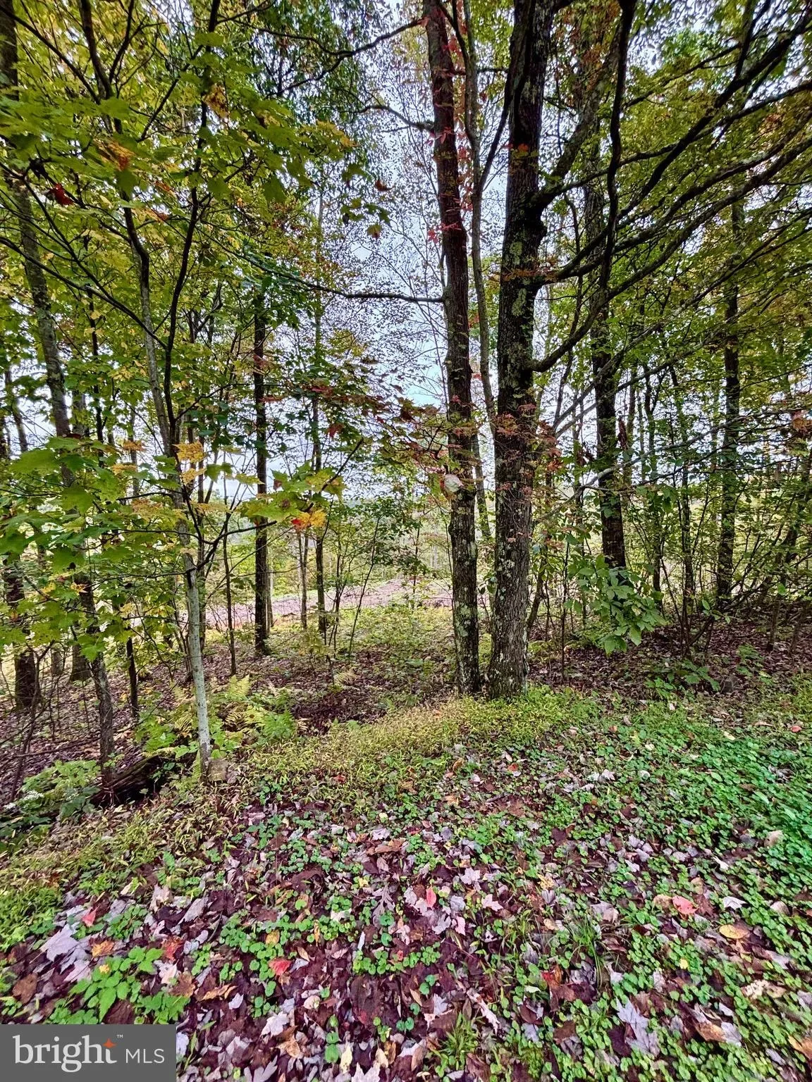 31-36 BEECH CREEK MOUNTAIN RD ROAD, BEECH CREEK, PA 16822, Beech Creek, Pennsylvania, United States. - Photo 22