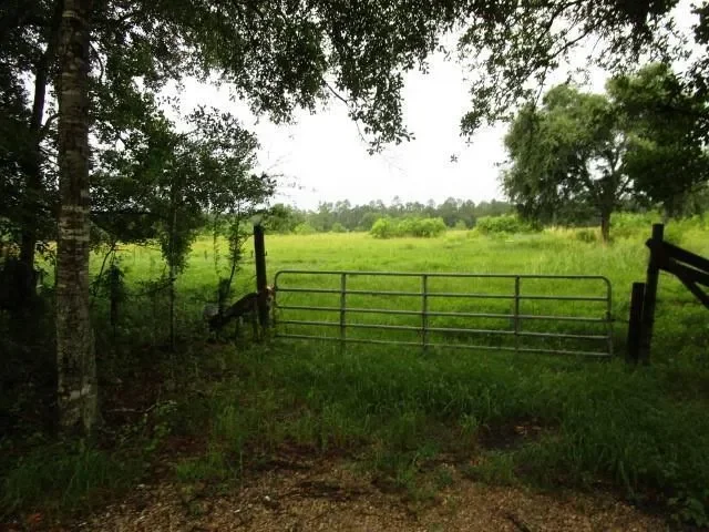 0 FIELDER Lane, Clayton, Georgia, United States. - Hero Image