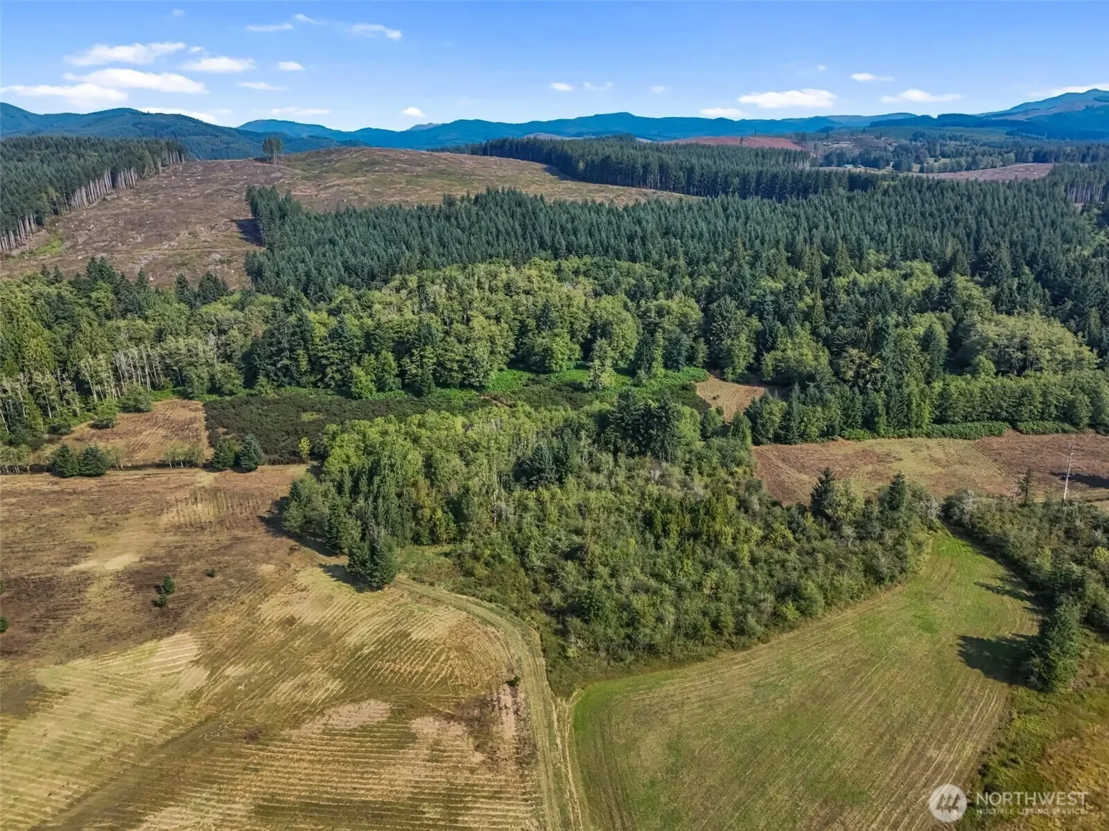 104 Bills Lane, Onalaska, WA 98570, Onalaska, Washington, United States. - Photo 17