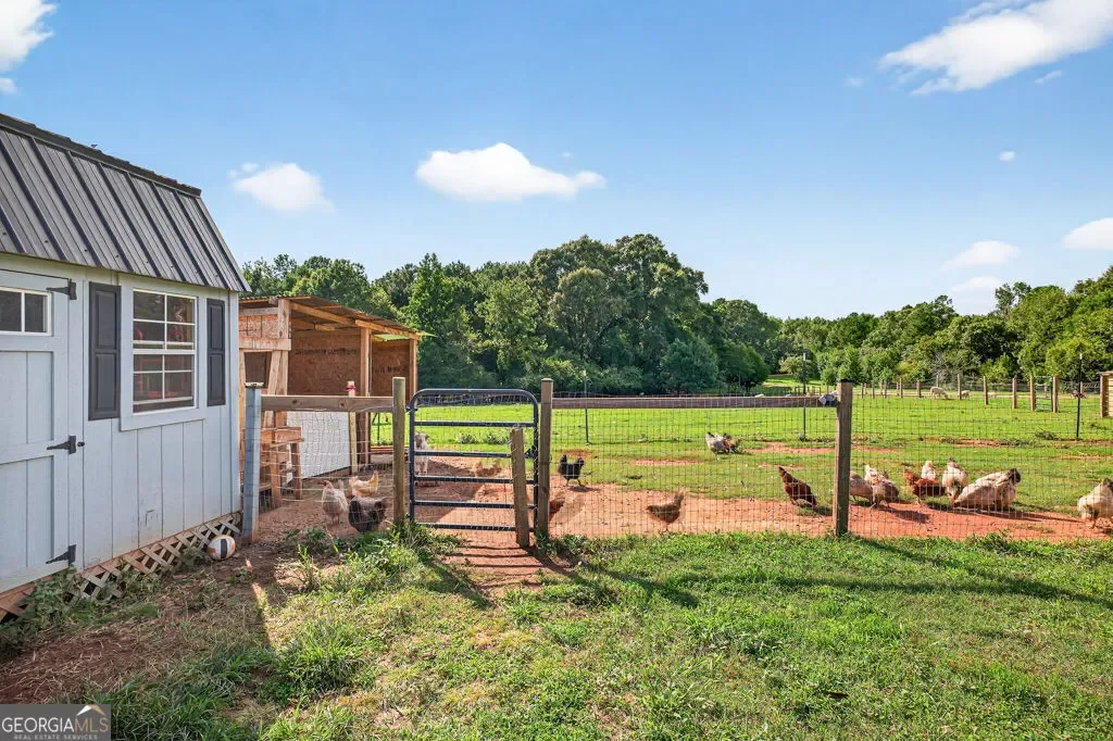 Bogart, Georgia, United States. - Photo 40