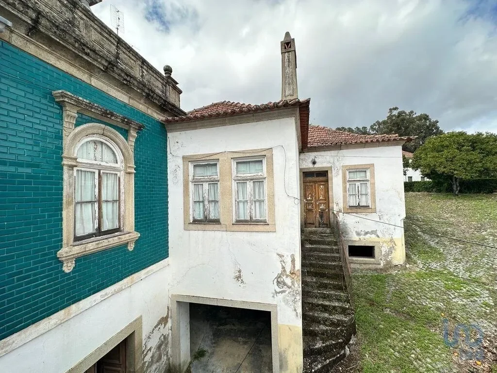 Gallery photo 10