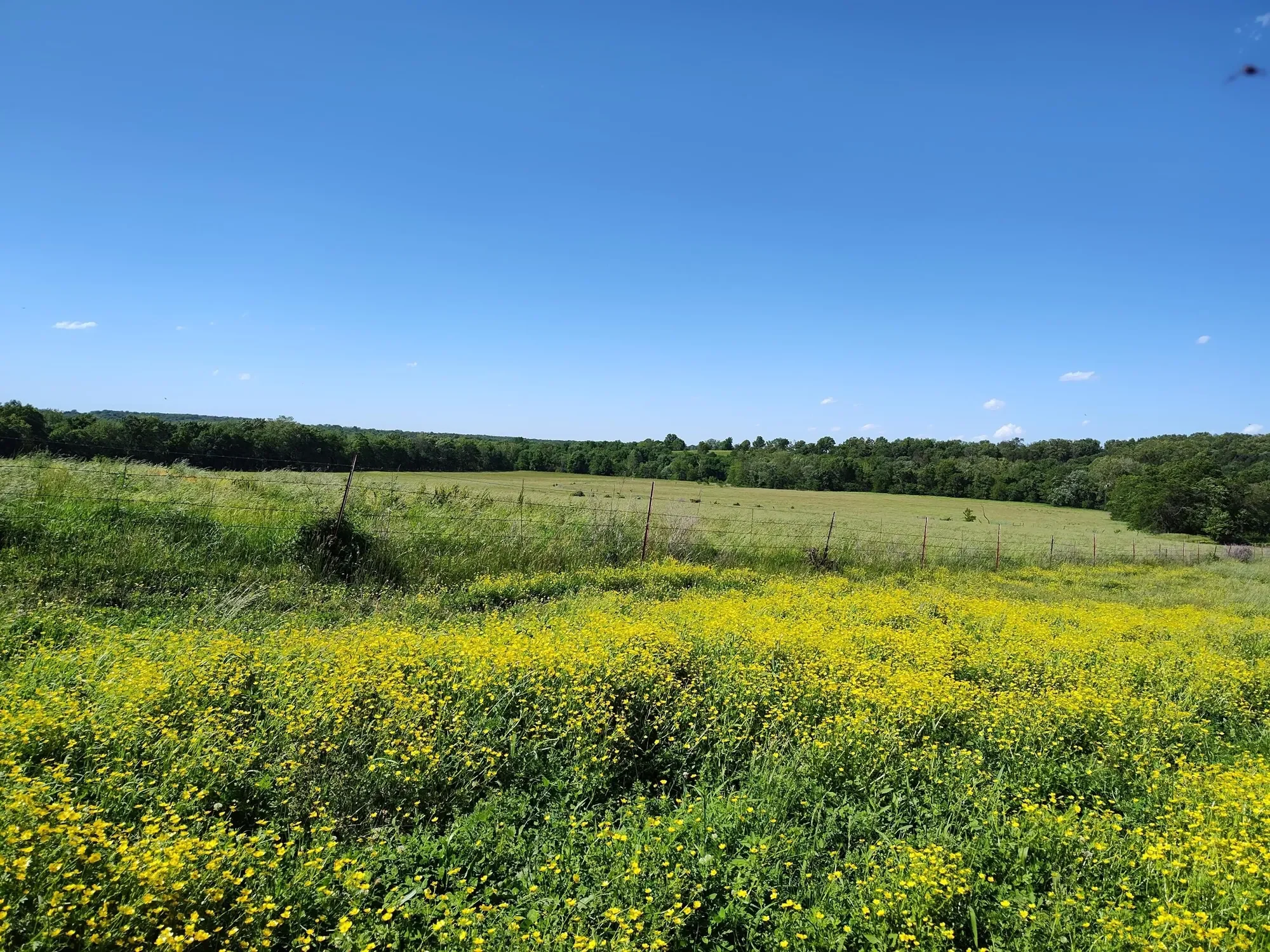 1898 E 332nd Road, Polk, MO 65727, Bolivar, Missouri, United States. - Photo 65
