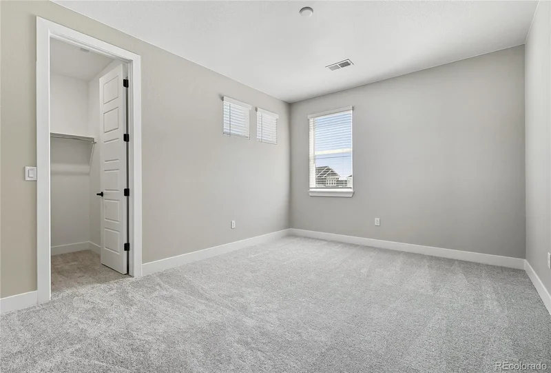 5591 Farrier Point, Castle Rock, Colorado, United States. - Photo 18