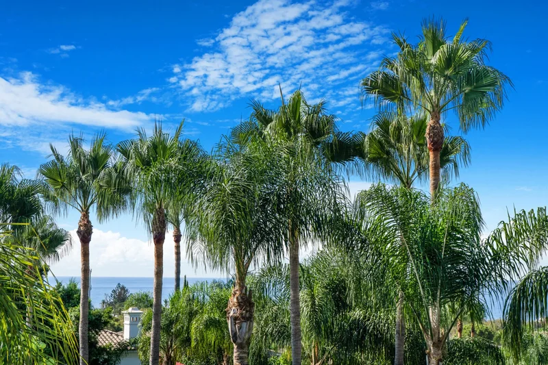 C. Cerro Muriano, 29602 Marbella, Málaga, Spain, Marbella, Andalusia, Spain. - Photo 2