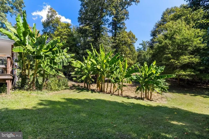 12475 Helen Fowlers Place, Hughesville, MD 20637, Hughesville, Maryland, United States. - Photo 62