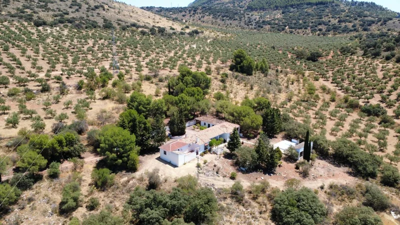 Andalucia, Loja, GRANADA, Loja, Loja, Andalusia, Spain. - Photo 63
