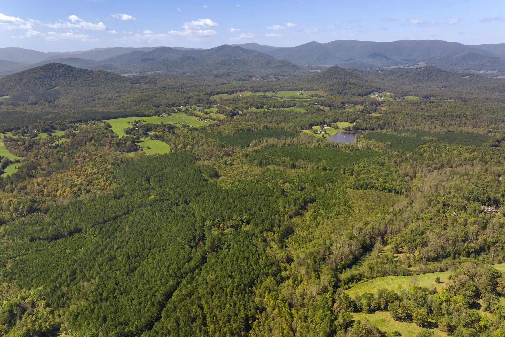 955 Simmons Gap Rd, Dyke, VA 22935, Dyke, Virginia, United States. - Photo 41