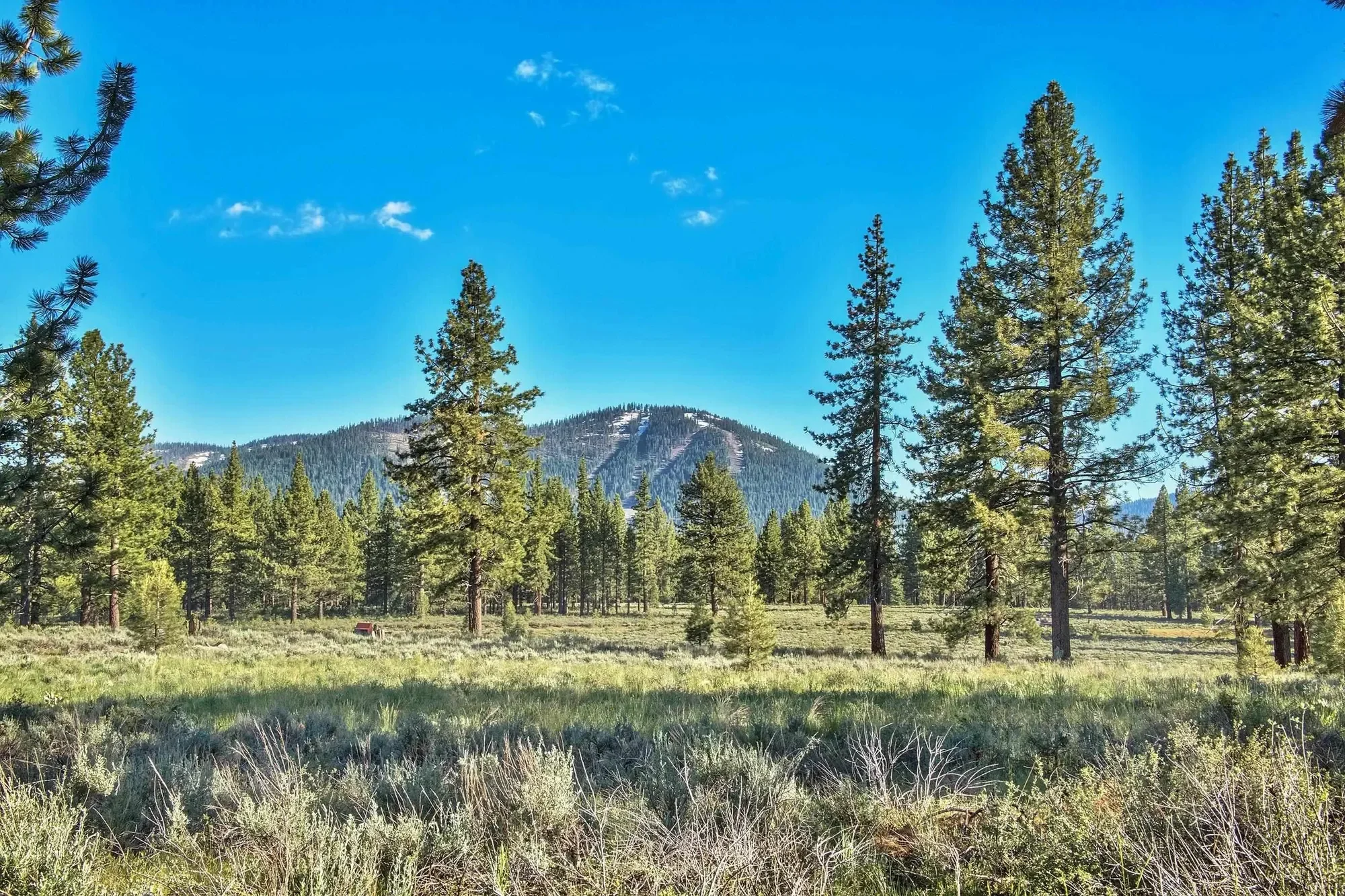 9701 Highway 267, Truckee, California, United States. - Photo 5