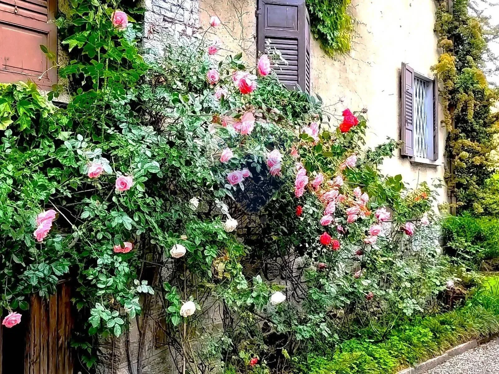 Via Principe di Piemonte, Stresa, Piedmont, Italy. - Photo 6