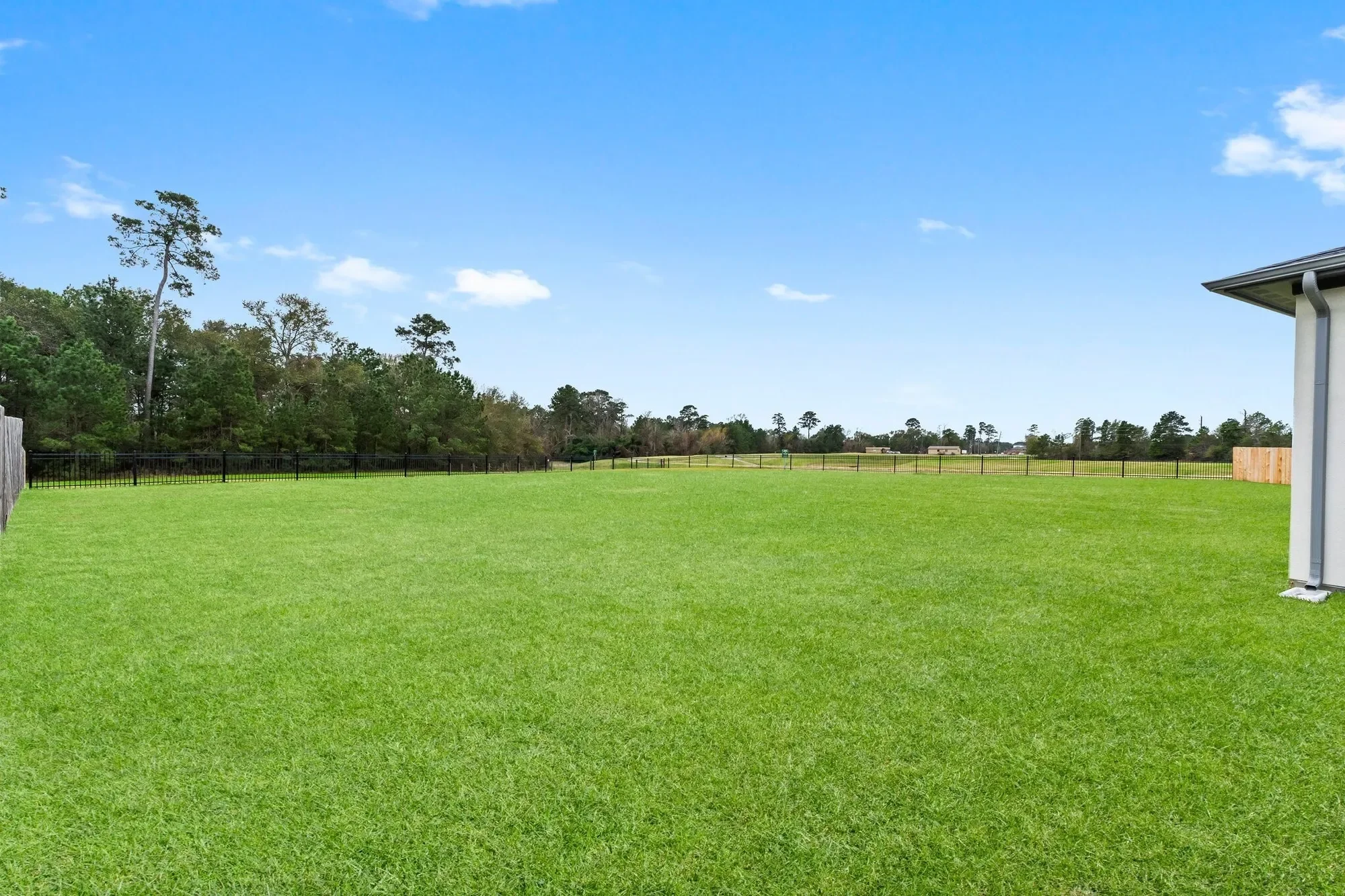 7315 Julie Pond Lane, Spring, TX 77389, Spring, Texas, United States. - Photo 40
