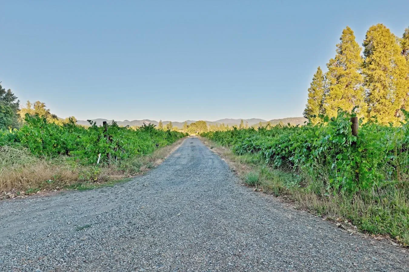 3900 Holland Loop Road, Cave Junction, Oregon, United States. - Photo 27