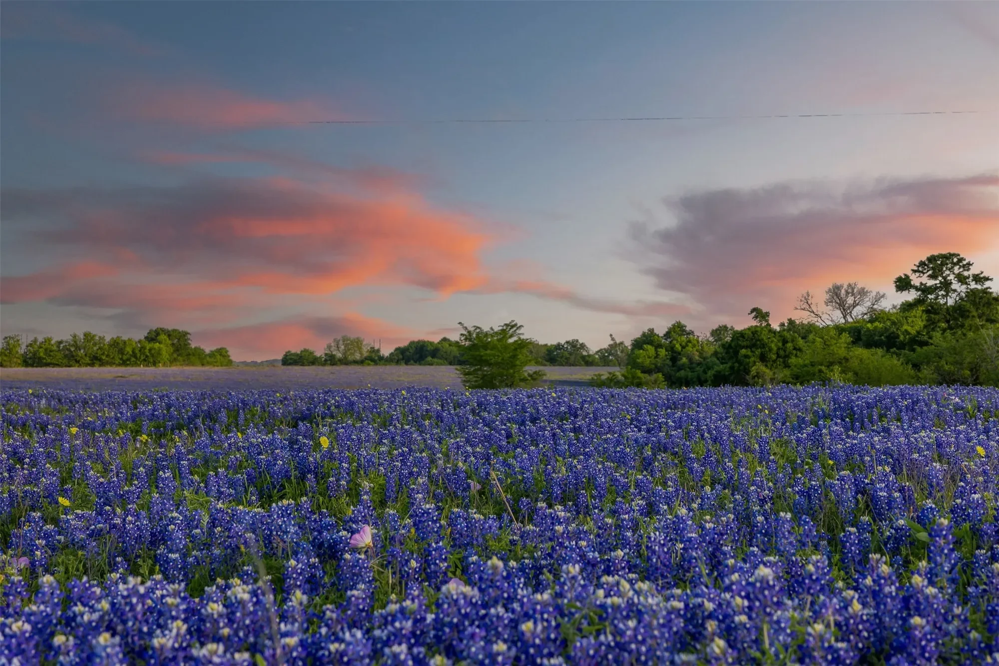 5107 Bovista Ranch Road, Navasota, TX 77868, Navasota, Texas, United States. - Photo 12
