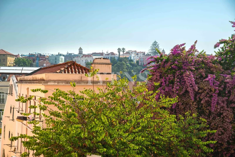 Praça da Alegria, 1250-004 Lisboa, Portugal, Santo Antonio, Lisbon, Portugal. - Photo 15