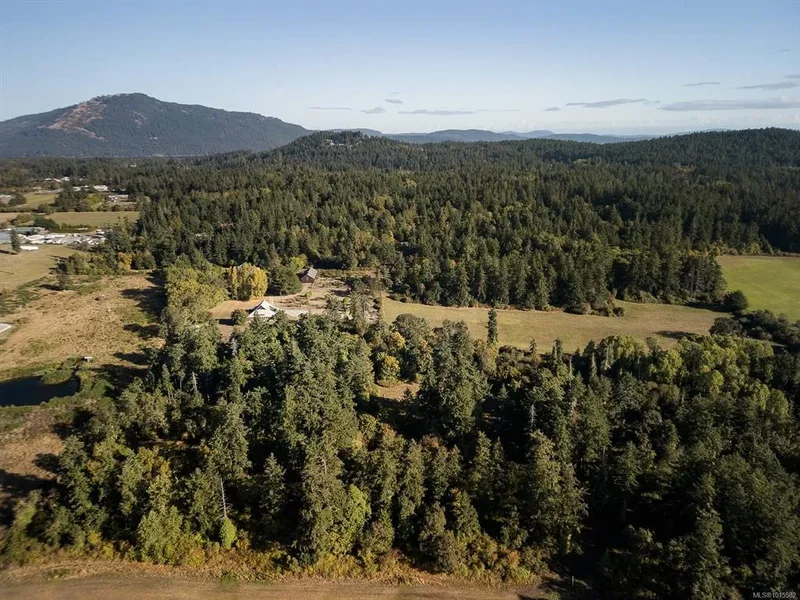 1175 Wain Rd, North Saanich, BC, V8L5V1, CANADA, North Saanich, British Columbia, Canada. - Photo 47