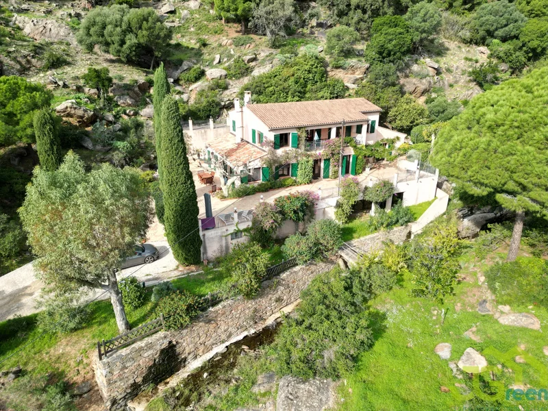 var, Le Lavandou, Provence-Alpes-Côte d'Azur, France. - Photo 6