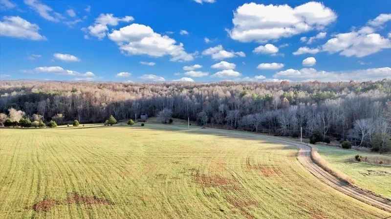 1962 McDaniel Road, Bedford, VA 24523, Bedford, Virginia, United States. - Photo 98