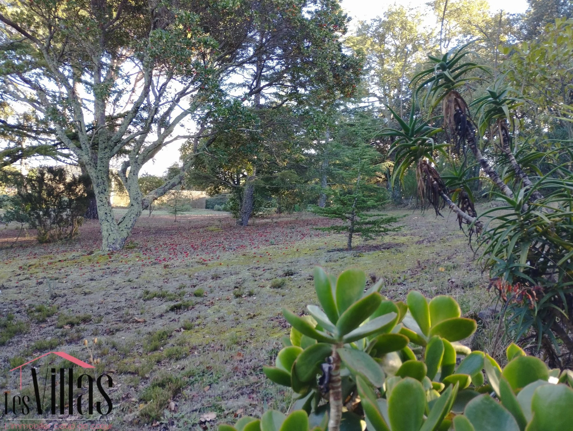 Céret, Occitanie, France. - Photo 16