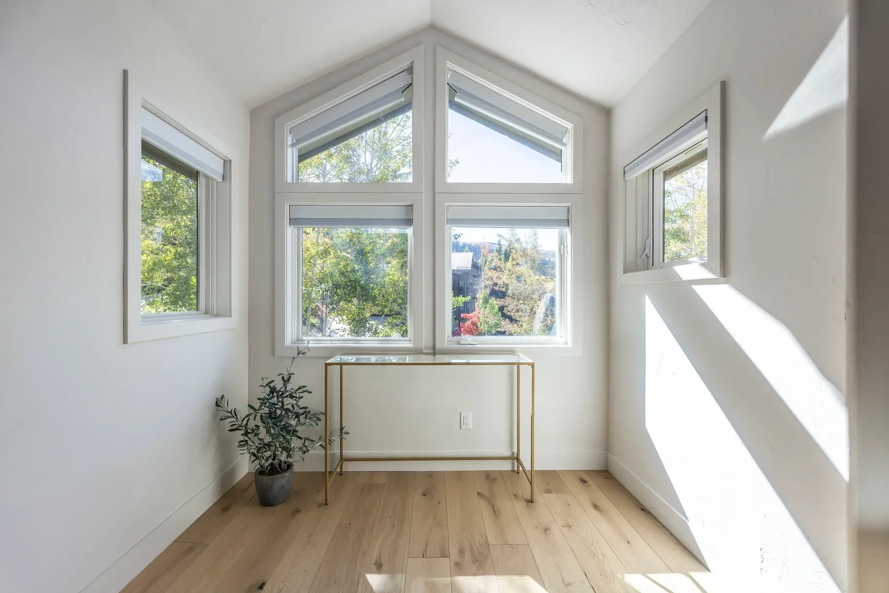 Gallery photo 11
