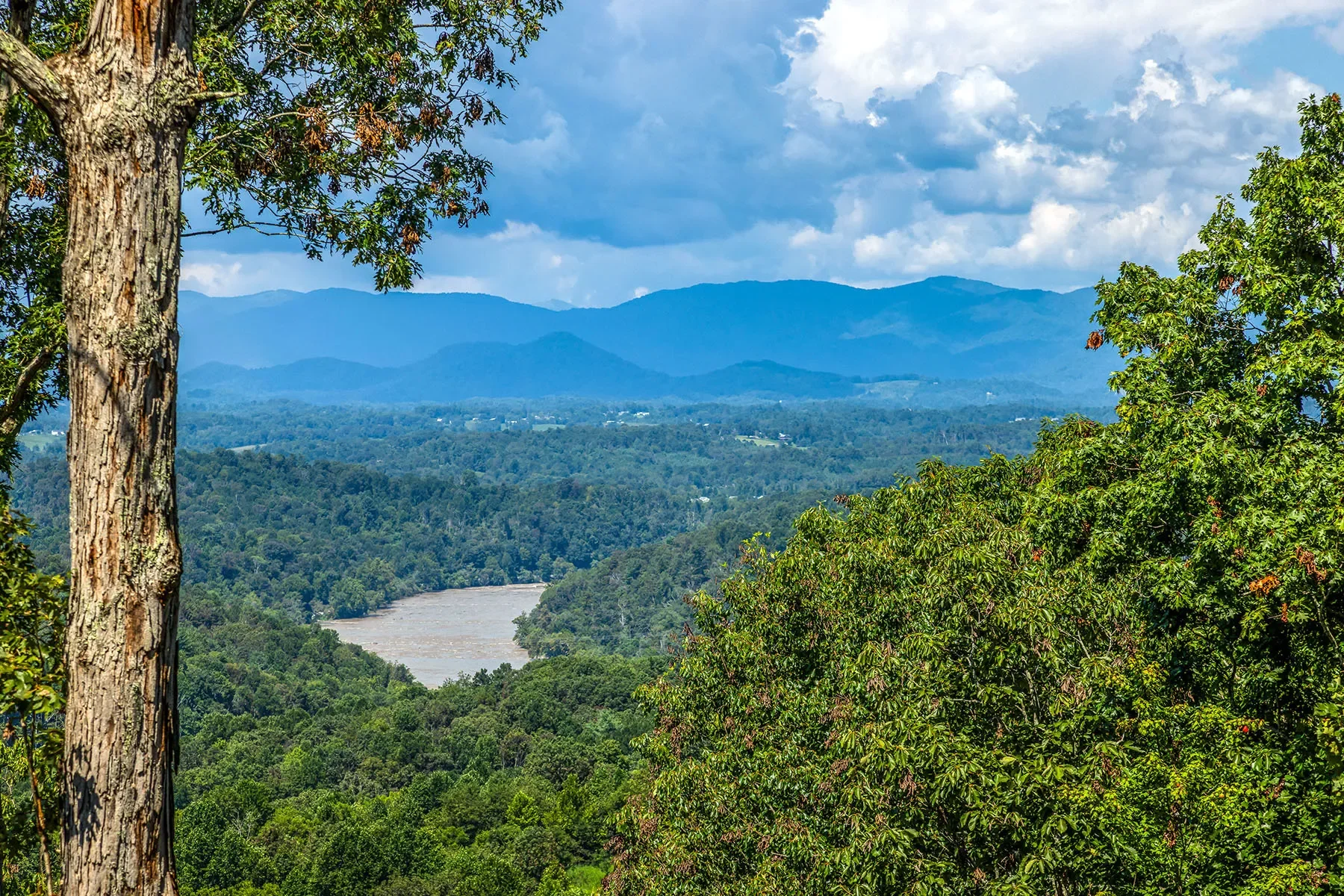 82 Running Ridge Road, Asheville, NC 28804, Asheville, North Carolina, United States. - Photo 10