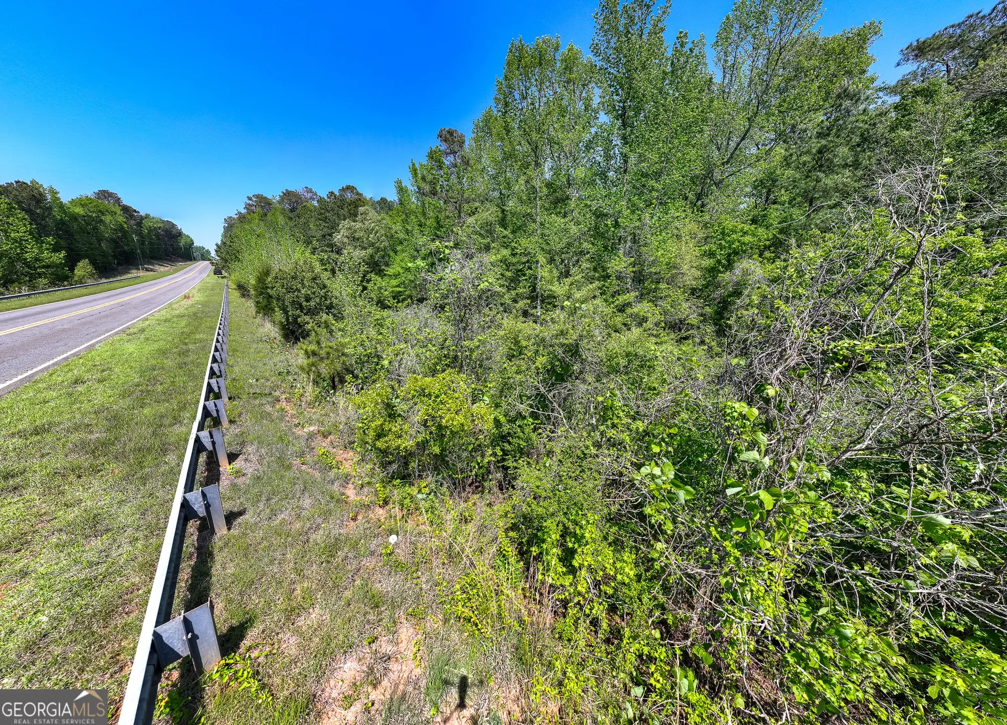 Shiloh, Georgia, United States. - Photo 57