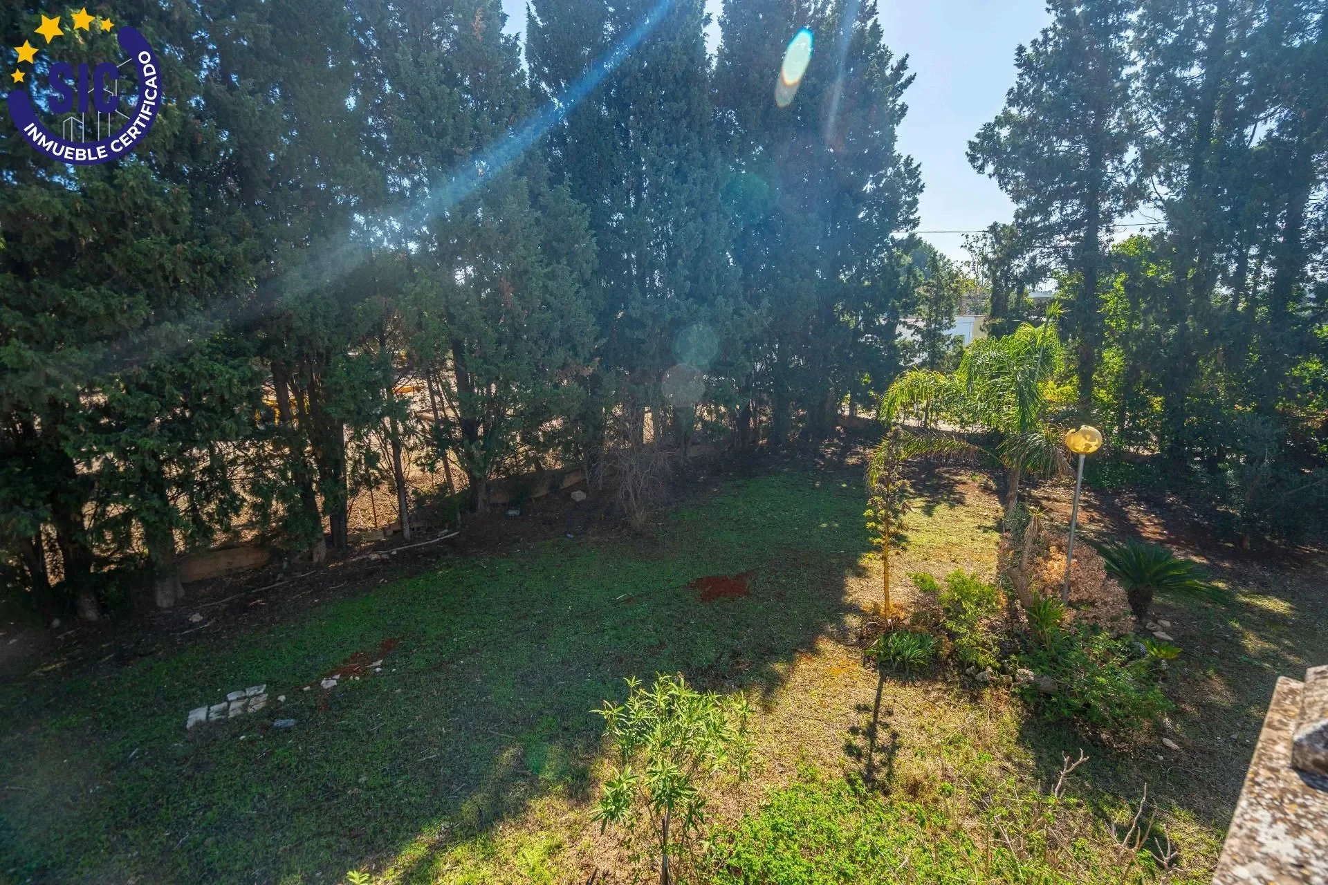 Zona Mas del Jutge, Torrent, VALENCIA, Torrent, Torrent, Valencian Community, Spain. - Photo 24