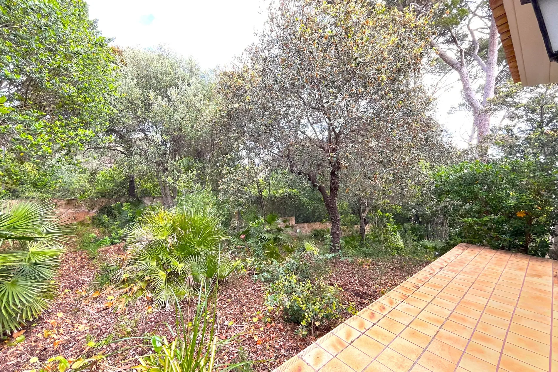 Exterior photo 7
