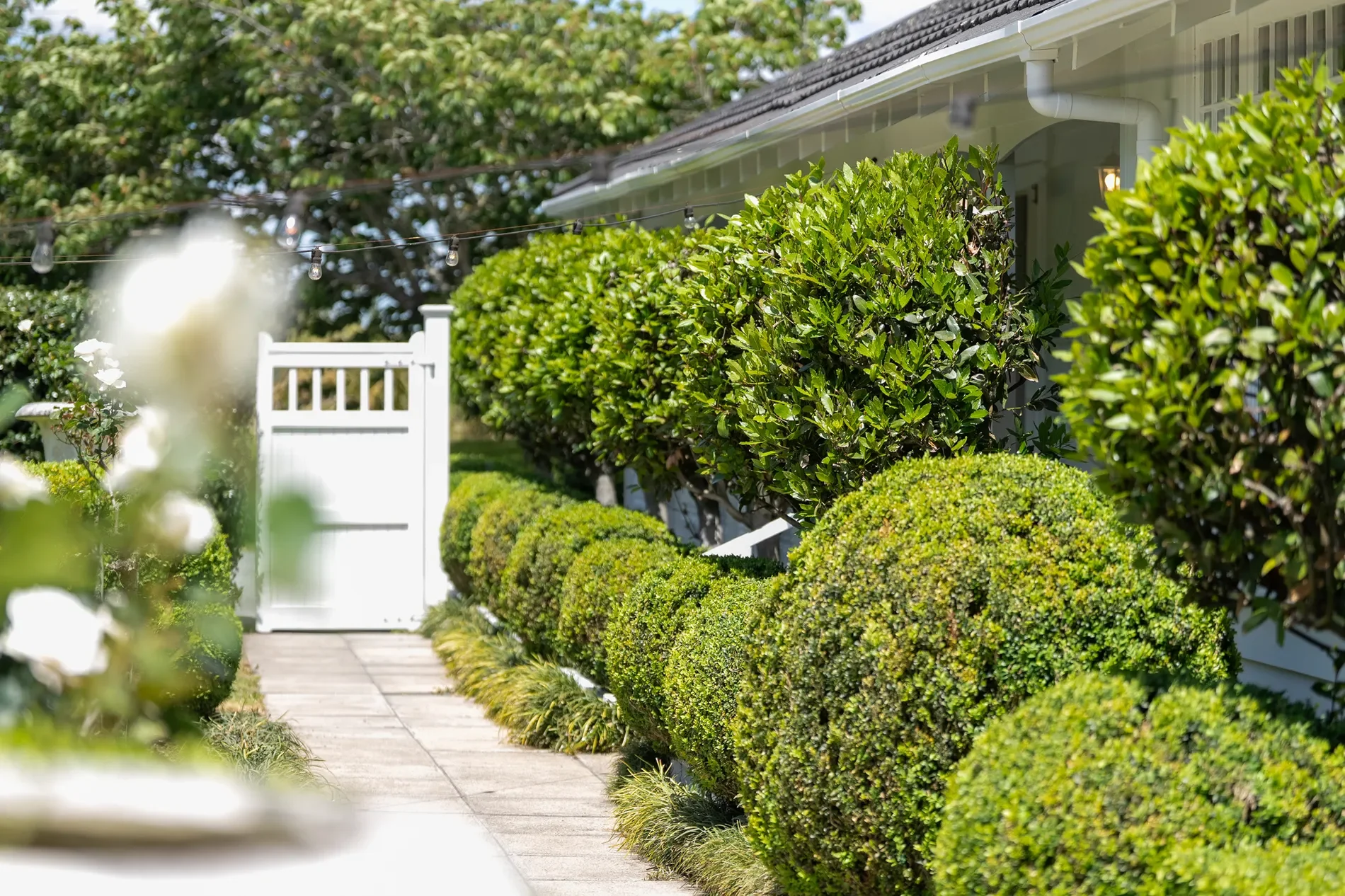 17 Puketaha Road, Puketaha, Waikato, New Zealand. - Photo 14
