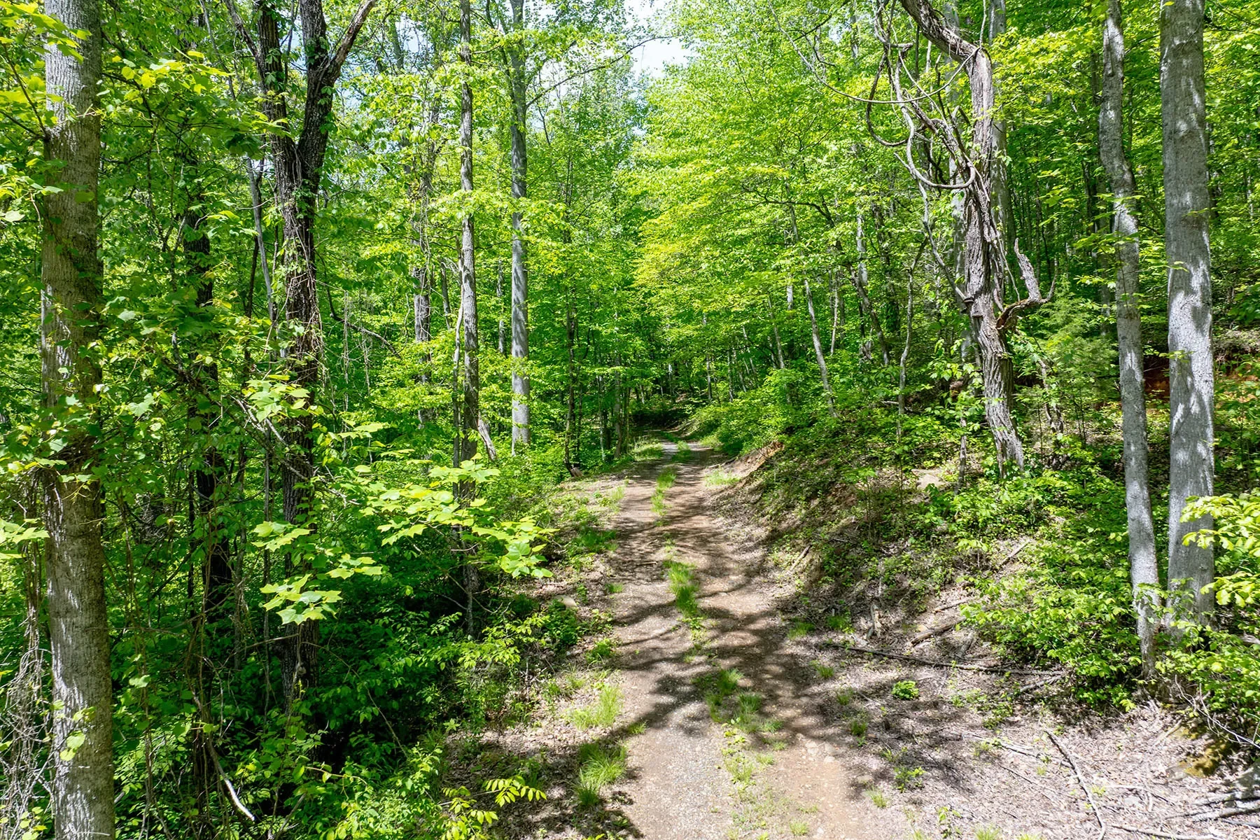 444 Woodring Cemetery Road, Tuckasegee, NC 28783, 28783, North Carolina, United States. - Photo 18