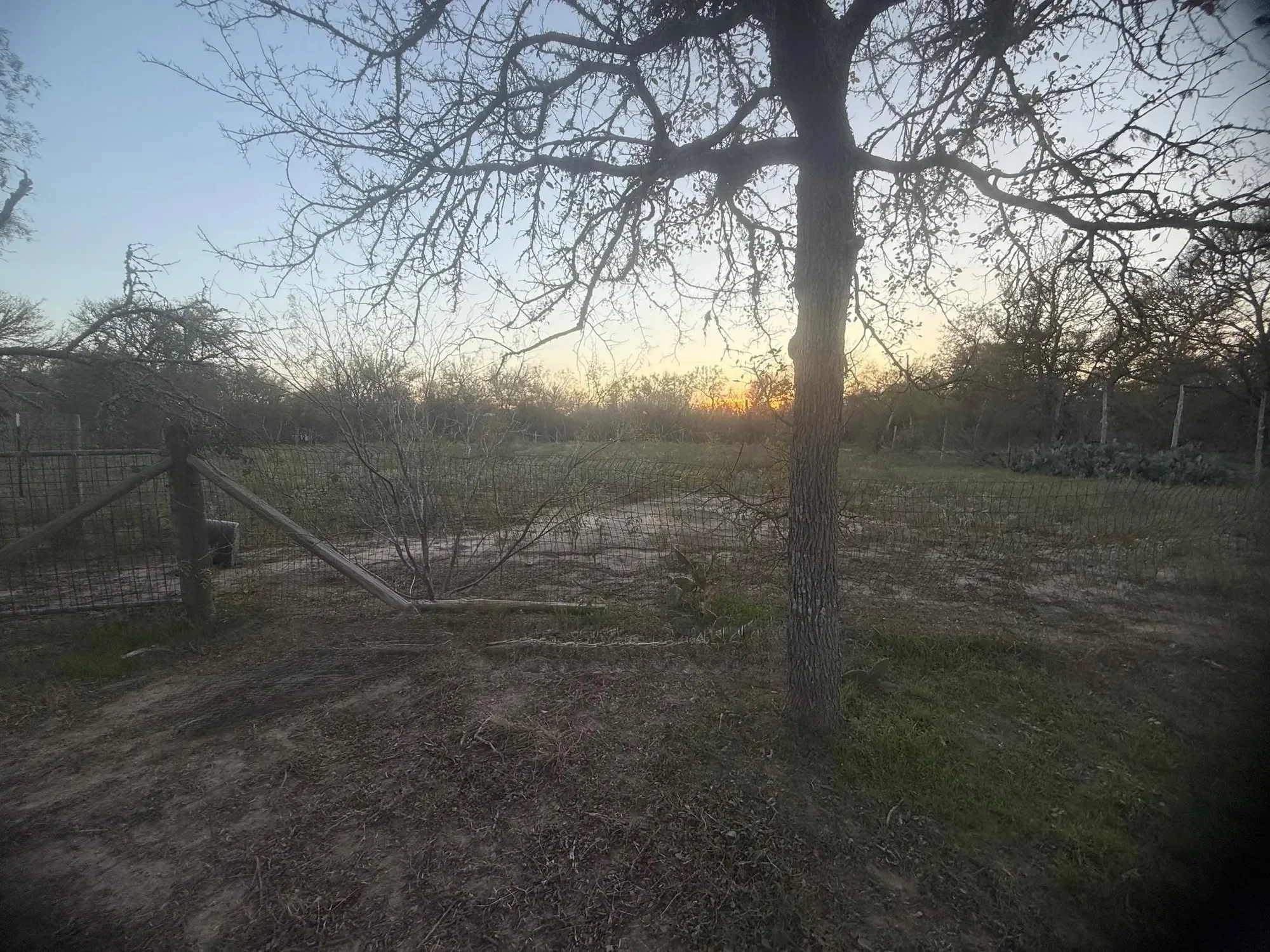 326 The Forest RD, Dale, Texas, United States. - Photo 31