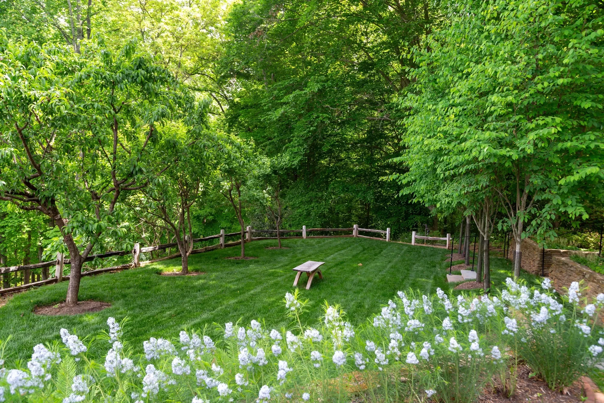 1790 Lambs Road, Charlottesville, VA 22901, Charlottesville, Virginia, United States. - Photo 28