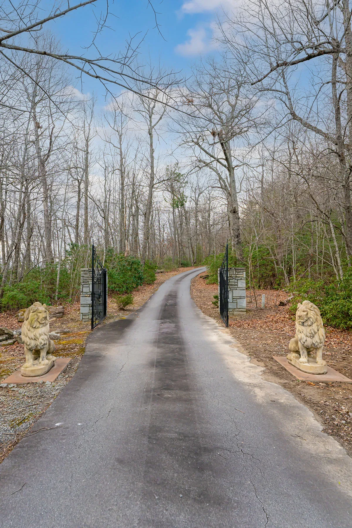 92 Bird Creek Estates Road, Black Mountain, NC 28711, Black Mountain, North Carolina, United States. - Photo 30