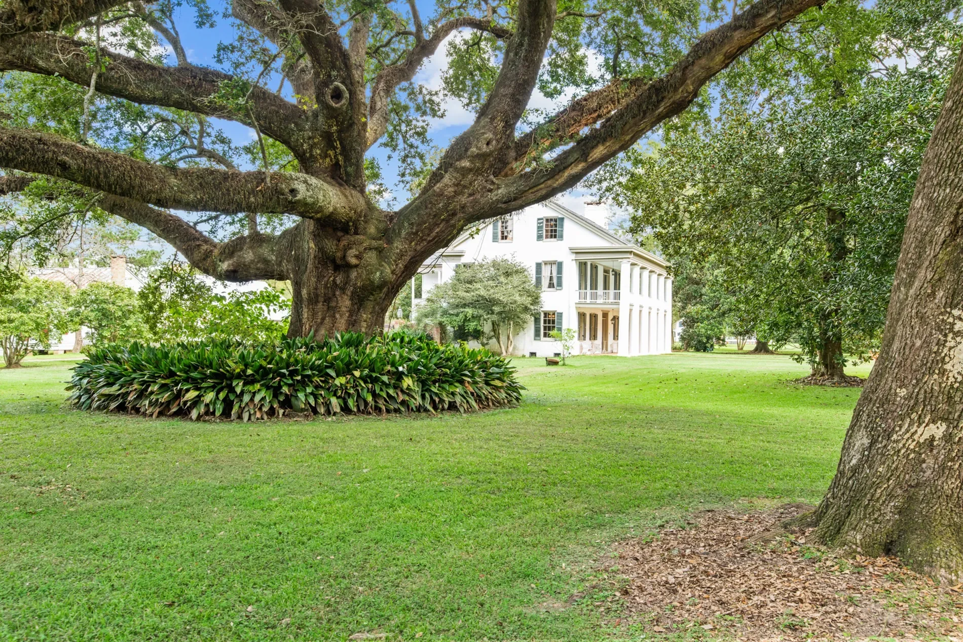 616 Dejean, Hwy 103 , Washington, LA 70589, Washington, Louisiana, United States. - Photo 23