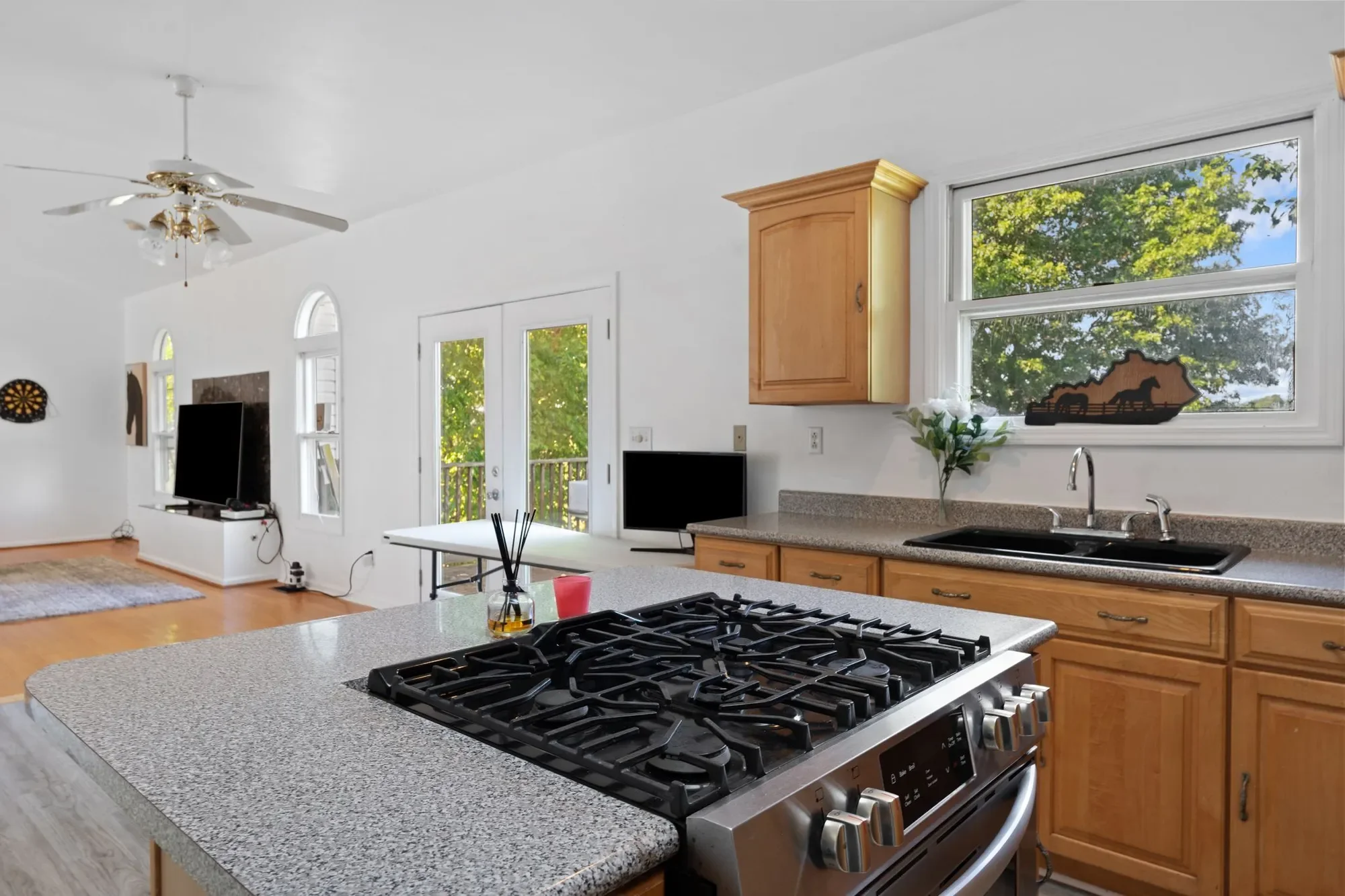 125 Harp Innis Road, Paris, KY 40361, Lexington, Kentucky, United States. - Photo 26